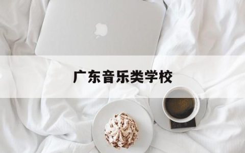 广东音乐类学校(广东音乐专业的大学排名)